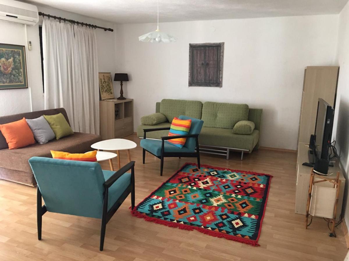 Vidic Apartament *