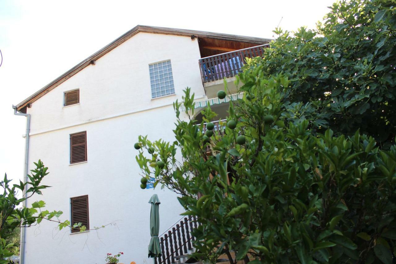 Vidic Apartment *
